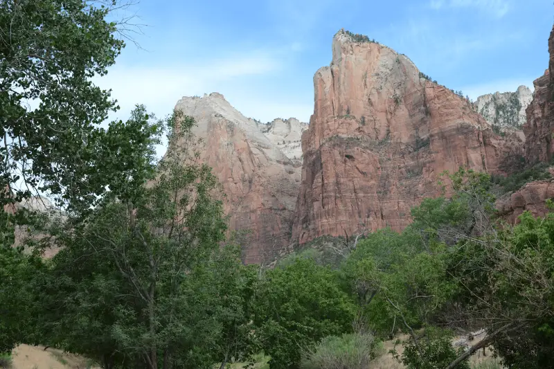 Deluge In Low-Lying areas of Zion National Park