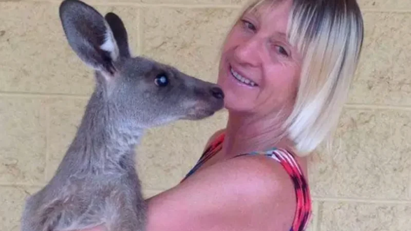 Kangaroo Launches Unexpected Attack