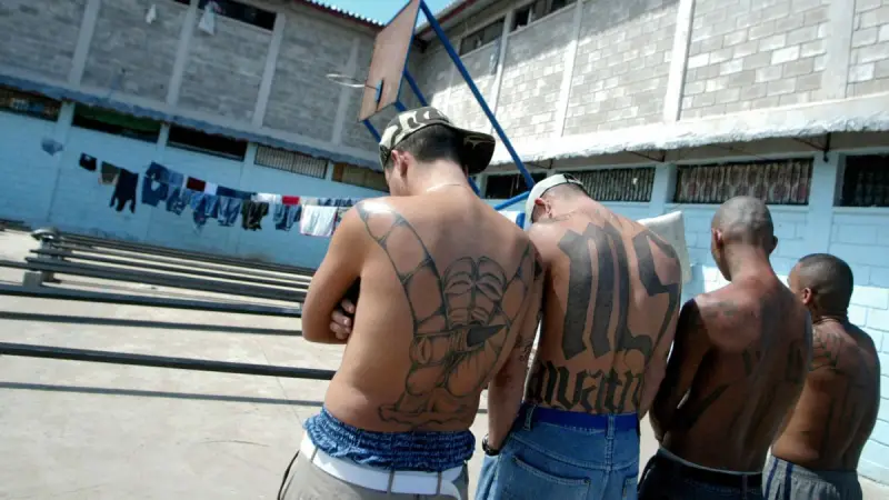 Mara Salvatrucha (MS-13) (The Central American Menace)