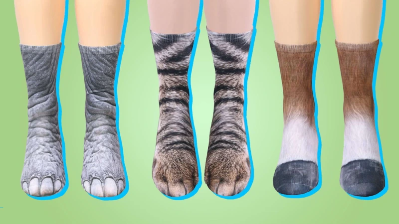  Animal Paw Socks 