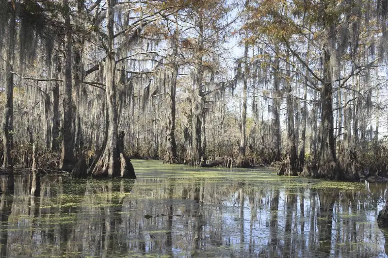 Top Places With Morbid Names A Journey Through Eerie Locales